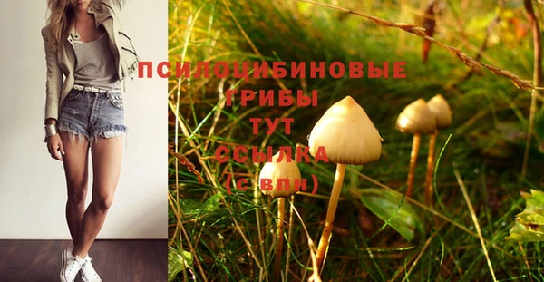 стафф Балабаново